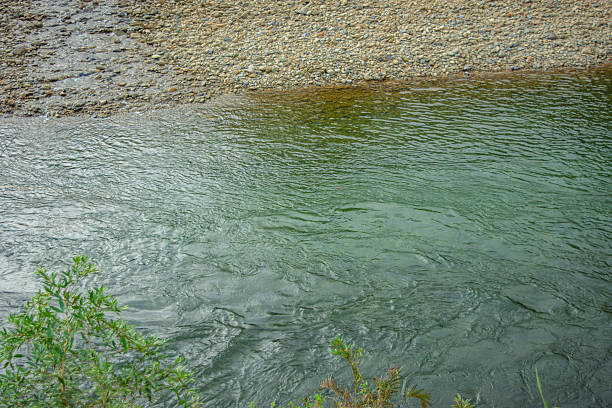 A tranquil view of a river with lush greenery and pebbled banks in San Cipriano, Buenaventura, Valle del Cauca, Colombia.