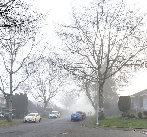 Surrey, Canada - December 30, 2025: Fog drifts along 95th Avenue in the Fleetwood neighbourhood. Two people and their dog walk beneath the bare oak trees. Winter morning with limited visibility in Metro Vancouver.
