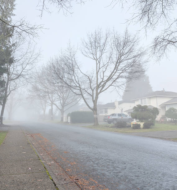 Surrey, Canada - December 30, 2025: Looking west on 95th Avenue in the Fleetwood-Tynehead neighbourhood. Detached houses built in the 1980s. Fog drifts through the bare oak trees. Winter morning in Metro Vancouver.