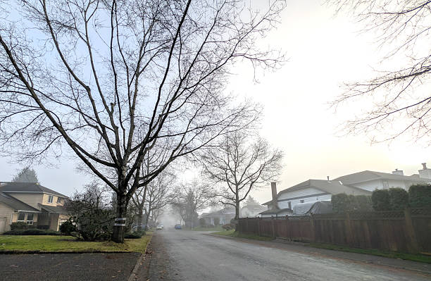Cloudy suburban street in Surrey, near Vancouver, BC, featuring lovely homes and nature.