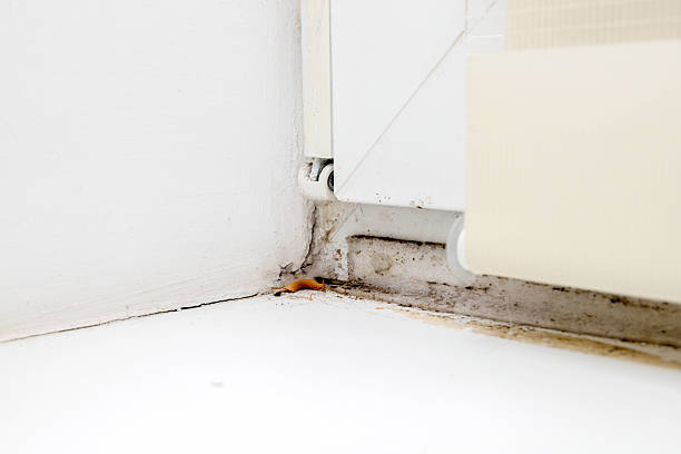 istock Light room with window and heating battery. Wall is of white plaster, has several outlets. 2254409062