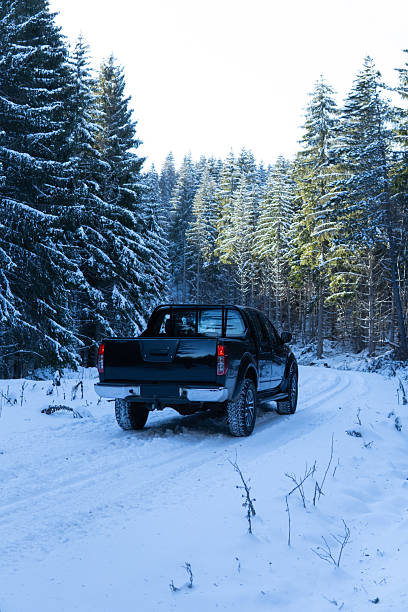 istock Car parked on the snow covered road in the dense pine forest 2254409546