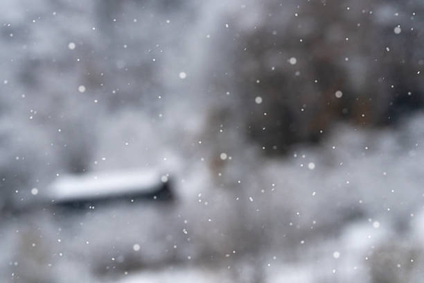 Winter Scene Snowfall on the Blurred Background