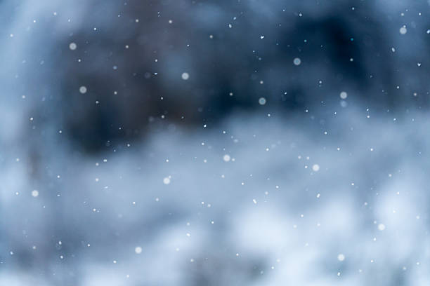 istock Winter Scene Snowfall on the Blurred Background 2254409716