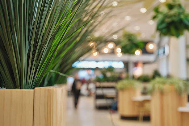 istock Potted green plants decorating modern interior space with blurred people and lights in the background 2254410856