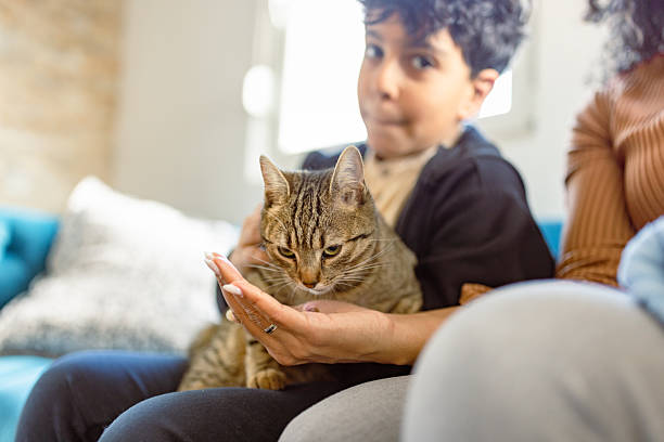 istock Child Holding Cat Indoors 2254411072
