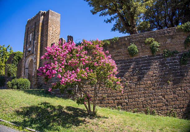 View of the Rocca Albornoziana medieval fortress in Orvieto, Italy