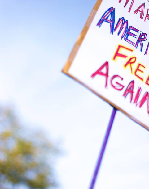 istock Placard Sign at Protest: MAKE AMERICA FREE AGAIN 2254415187