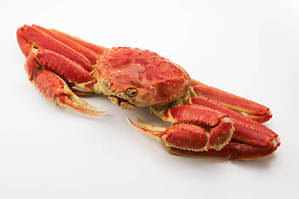 istock Image of boiled snow crab 2254418673