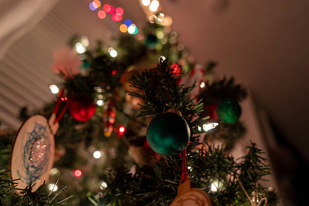 Knitted Animal Decoration Hanging on a Tree Closeup Cute Toy