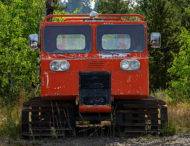 istock Old Snow Cat Sits In Tall Grass Throughout Summer Season 2254422526