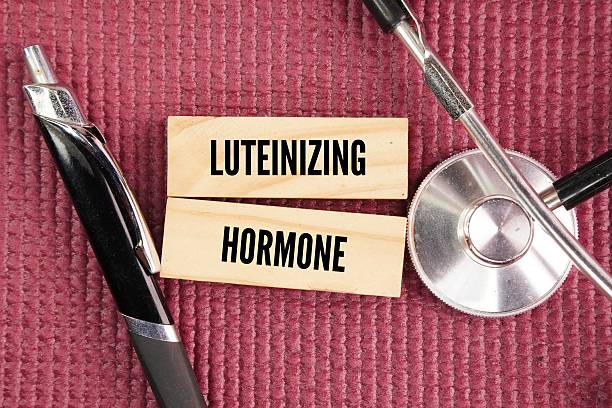 istock Stethoscope, pen and stick with the words Luteinizing hormone LH 2254425415