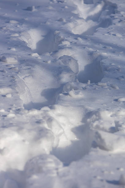 istock Foot prints in snow following a winter blizzard 2254429040