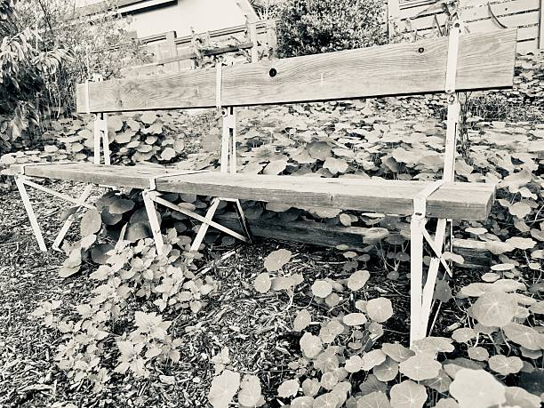 A weathered wooden bench sitting in a peaceful, rustic backyard garden in Carlsbad, California.