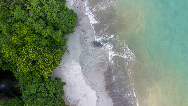 istock The Hidden Gem: Pristine White Sand Beach in South Malang 2254433201