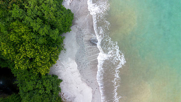 istock The Hidden Gem: Pristine White Sand Beach in South Malang 2254433202