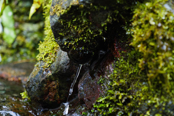 Small statue's close-up at Mount Qingcheng scenic area, a sacred Taoist mountain in Dujiangyan, Chengdu, Sichuan, China.