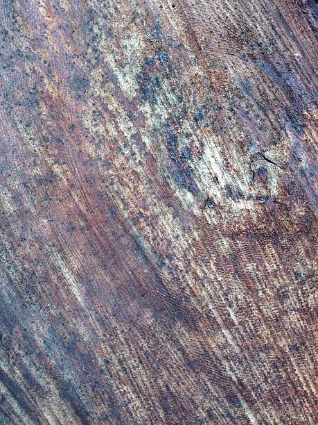 istock Wooden Surface with Visible Grain and Knots 2254438177