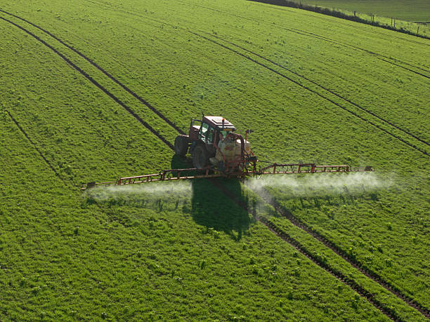 Aerial view of combine harvester working in agricultural field, Cornwall