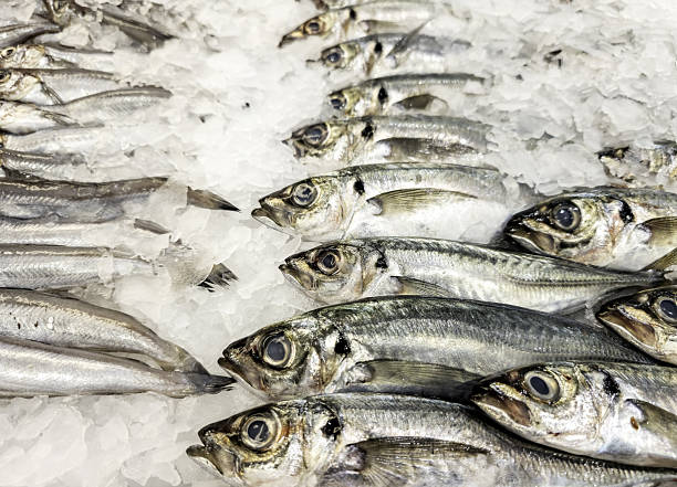 Close-up of fresh fish in a fish shop, healthy food, diet