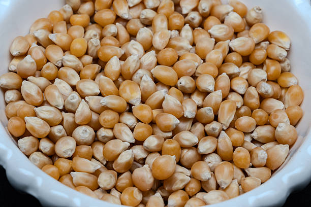 istock Simple and beautiful still life of popcorn corn 2254452270