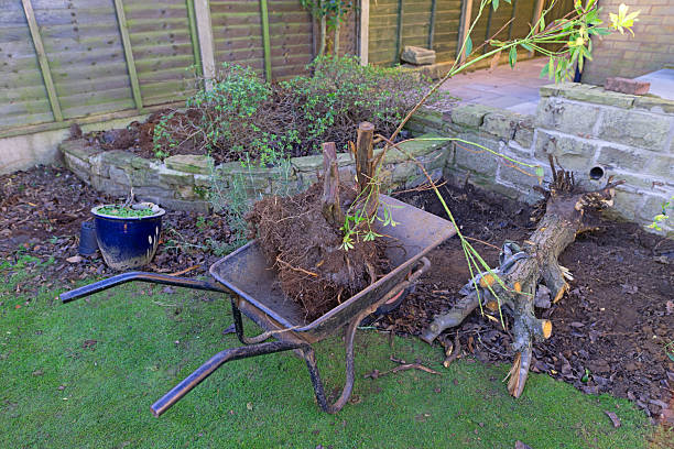 A wheelbarrow filled with trimmed leaves, showcasing the result of gardening work.