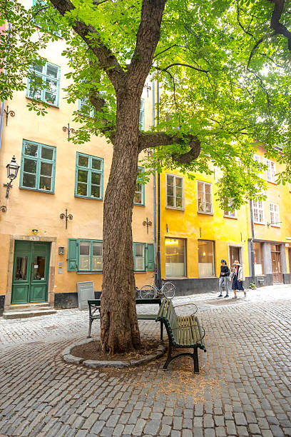 Stockholm, Sweden - June, 18, 2025: Two Asian women walk in the small square  with an old Chestnut Tree in Gamla Stan, Stockholm.