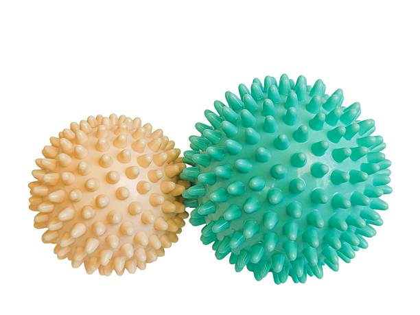 istock High angle view of two spiked massage balls on white background. 2254454104