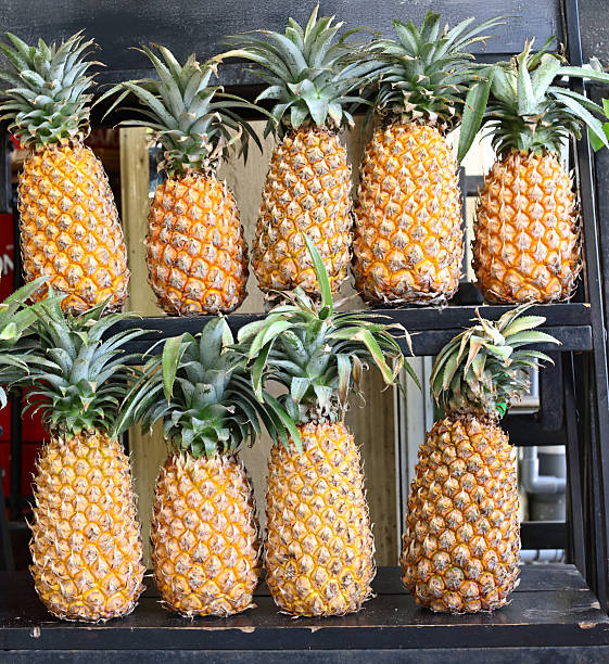 fresh organic tropical fruit pineapple at the market