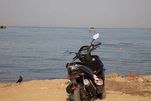 The Beach and The Red Sea