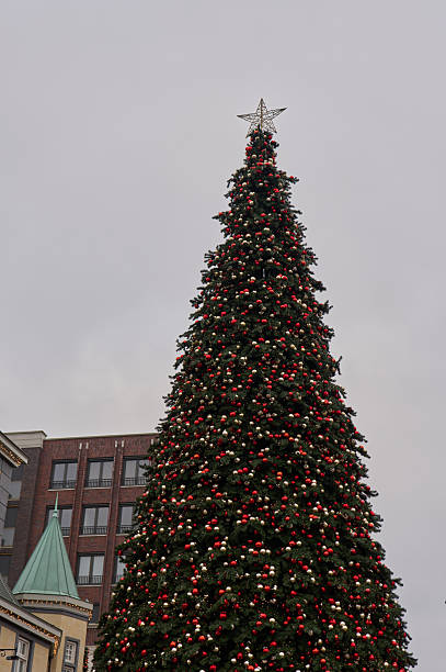 istock Christmas tree with red and white ornaments topped with a star 2254462140