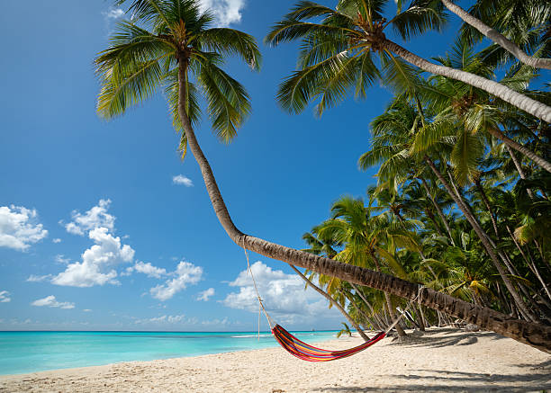 istock tropical beach with coconut palm and a colorful hammock 2254463060
