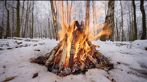 istock Crackling Campfire in the Winter Birch Forest 2254467173