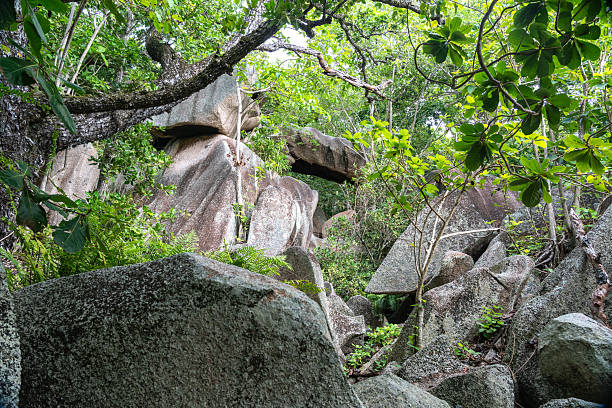 Anse Source D'Argent beach, La Digue Island, Seychelles