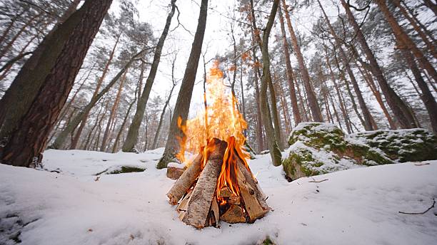 istock Crackling Campfire in the Winter Forest 2254467248