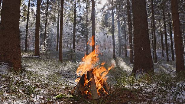 istock Crackling Campfire in the Winter Forest 2254467266