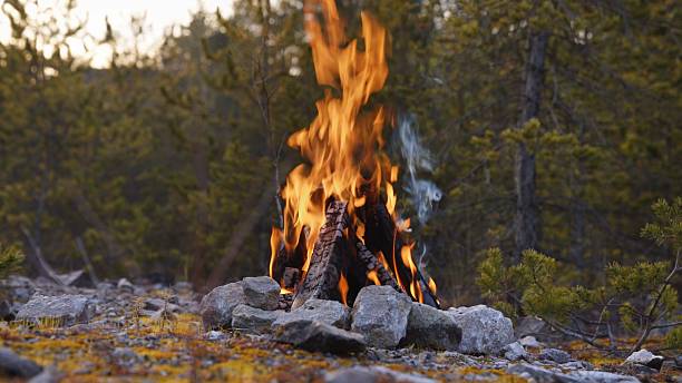 istock Crackling Campfire in a Rocky Landscape 2254467320