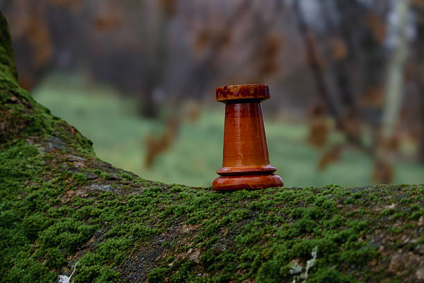 Wooden chess rook stands on moss-covered tree trunk. Blurred trees and foliage visible in distance.