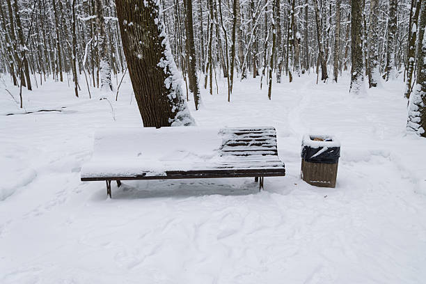 istock Snow covered bench in winter forest near trash bin, no people 2254472067