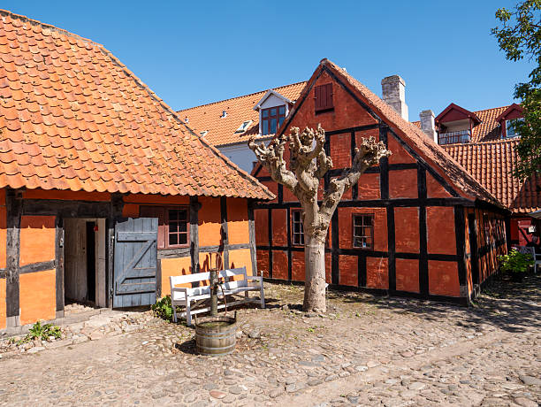Hollyhocks in flower in front of open casement windows in a medieval half timber framed historic building in Kolding which is painted red and on a cobblestone street