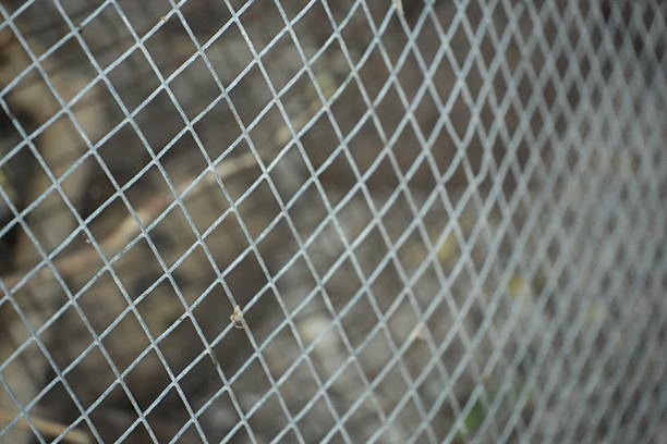 A close-up view of a metal chain link fence with a blurred background, showcasing its intricate diamond pattern and texture.