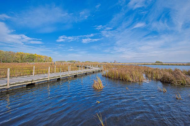 Horicon Marsh Wildlife Refuge in Wisconsin