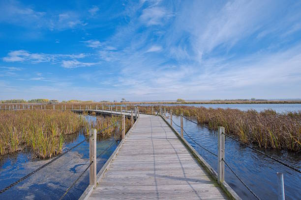 istock Horicon Marsh Wildlife Refuge in Wisconsin 2254477040