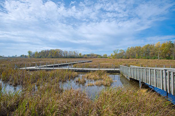 istock Horicon Marsh Wildlife Refuge in Wisconsin 2254477103
