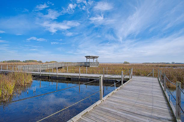Horicon Marsh Wildlife Refuge in Wisconsin