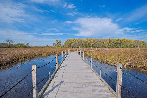 istock Horicon Marsh Wildlife Refuge in Wisconsin 2254477150