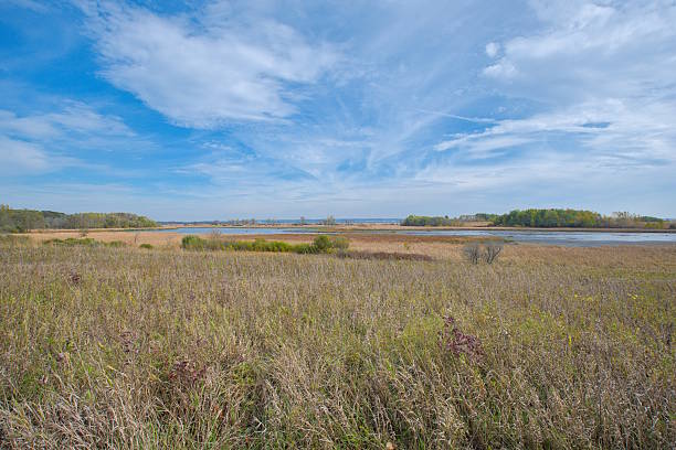 istock Horicon Marsh Wildlife Refuge in Wisconsin 2254477226