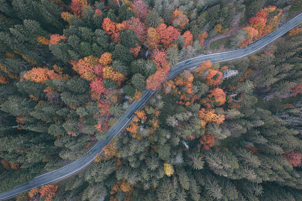 istock Aerial landscape over a mountain road 2254479770