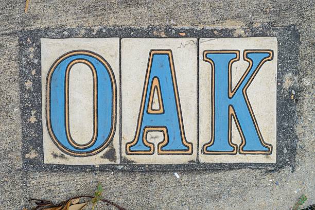 istock Oak Street Sidewalk Sign 2254486416