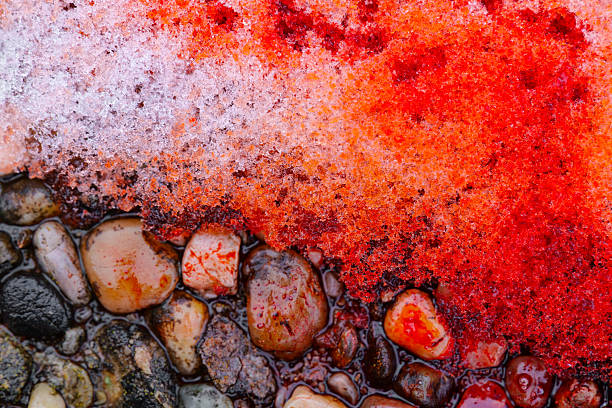 Red Liquid on Snow and Pebbles.Snow with Red Dye on Wet Rocks